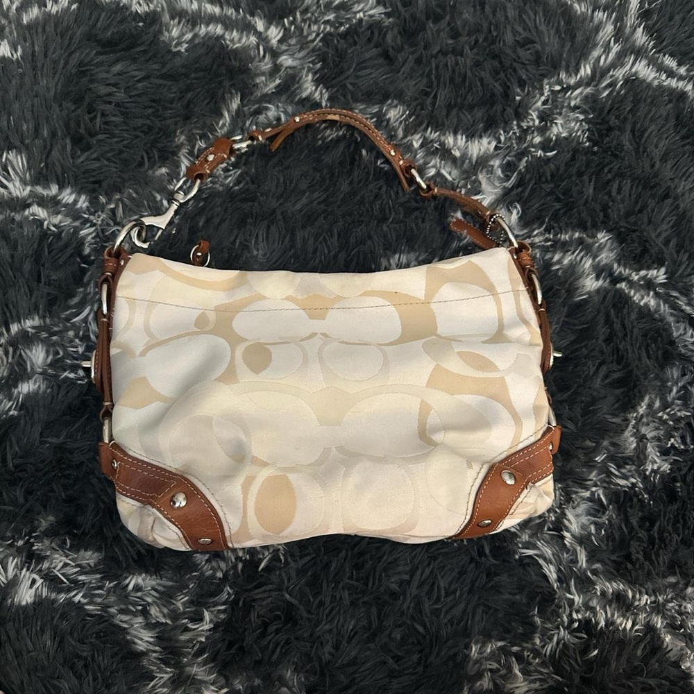 COACH Carly Hobo Bag